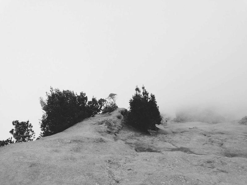 A creator photographed on location — placeholder, replace with project visual
